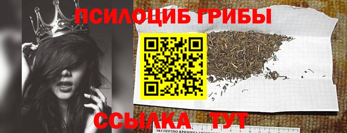 Псилоцибиновые грибы Psilocybine cubensis Уварово